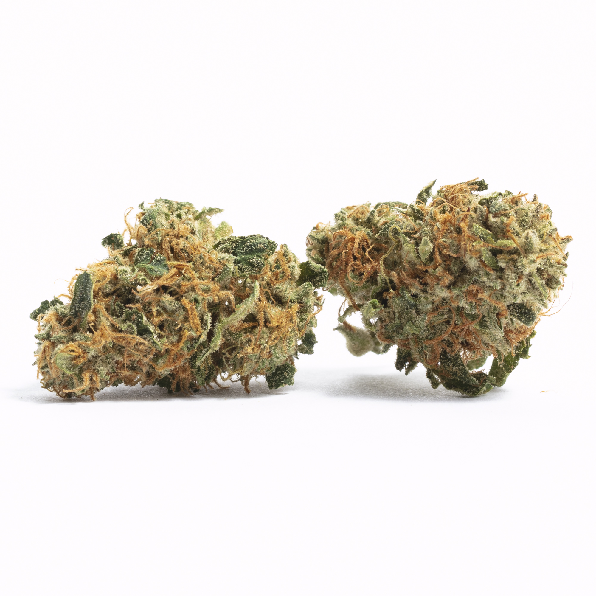 Kilimanjaro strain